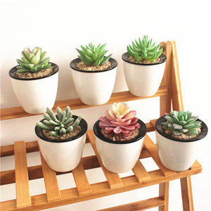 High quality Artificial mini Succulents potted with plastic pot for Outdoor Balcony decoration