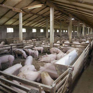 China Yinong offers new designs for chicken houses, goat and sheep sheds, and cow barns to enhance farming operations