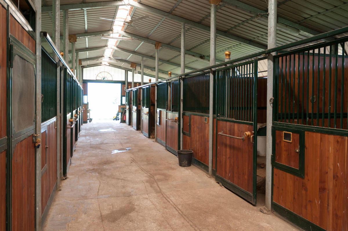 Yinong China Prefab PoPular Modular Stable Horse Barn / Stall / Horse Riding Arena Stable with Hinged Door