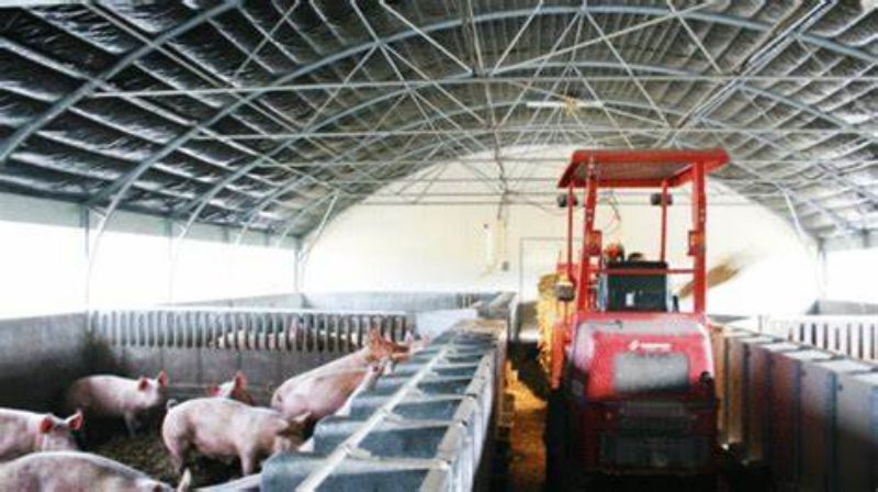 China Yinong offers new designs for chicken houses, goat and sheep sheds, and cow barns to enhance farming operations