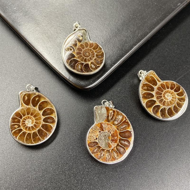 Bulk natural raw ammonite fossil pendant necklace natural stone crystals necklace