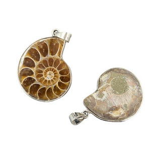 Bulk natural raw ammonite fossil pendant necklace natural stone crystals necklace