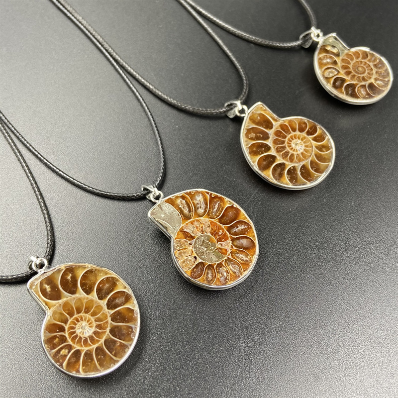 Bulk natural raw ammonite fossil pendant necklace natural stone crystals necklace