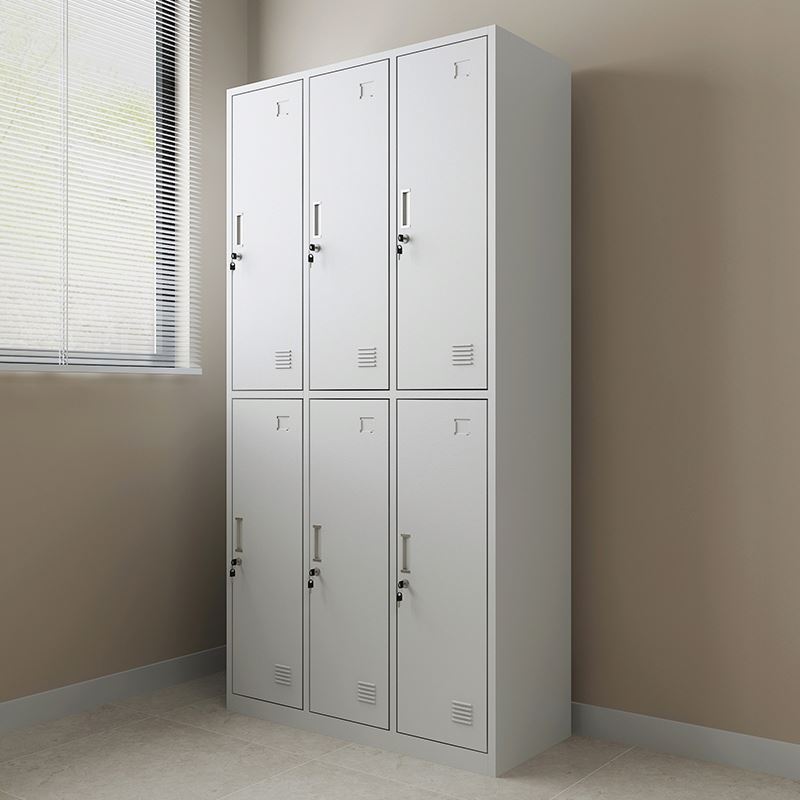 Factory Supply Special Price Steel Locker School Gym Locker Metal Storage Cabinet 6 Door Locker With Lock Wholesale Cheap Price