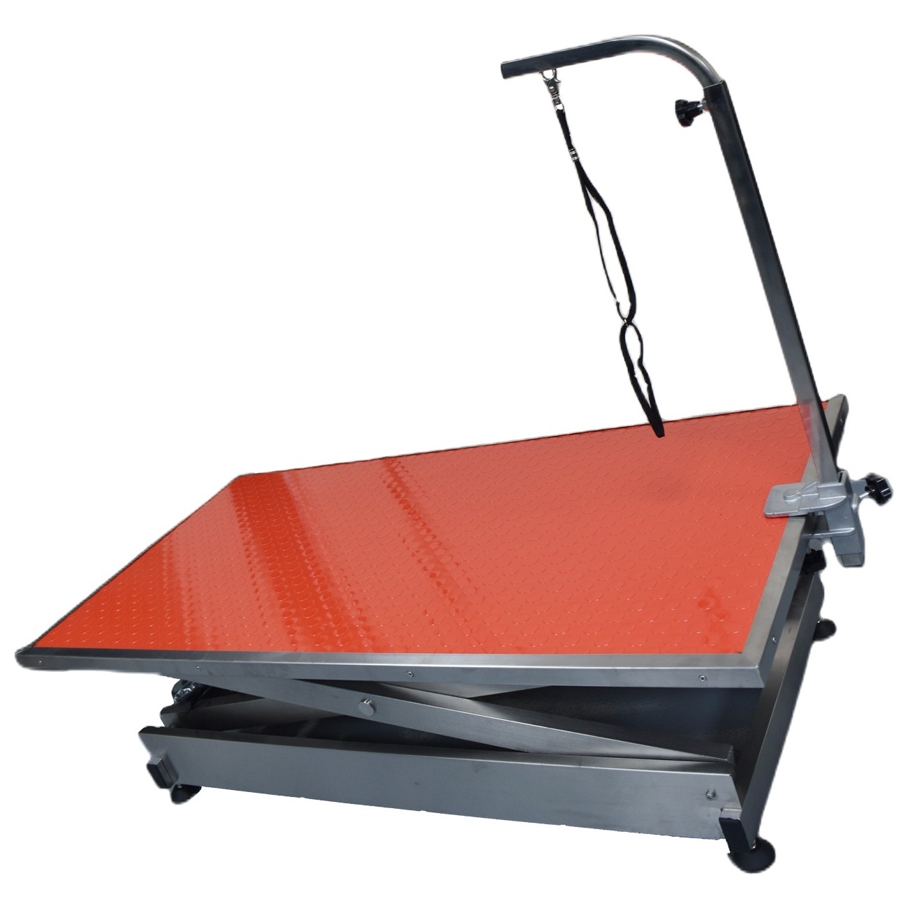 Eurpet Electric Dog Pet Grooming Table Used For Veterinary Clinic And Hospital Pet Grooming Table