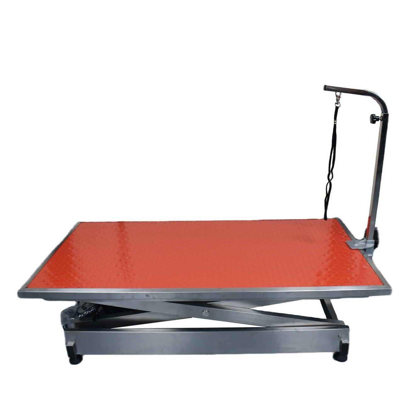 Eurpet Electric Dog Pet Grooming Table Used For Veterinary Clinic And Hospital Pet Grooming Table