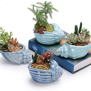 5.5 Inch Blue Conch Ocean Series Ceramic Succulent Plant Pot Starfish Shell Shape Planters for Decorative Gardening