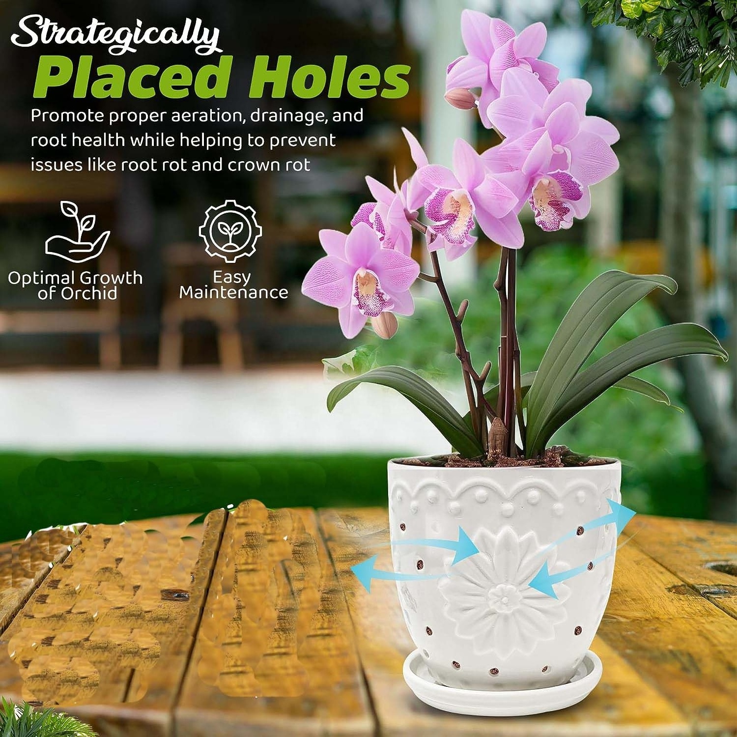 5inch Ceramic Orchid Pot with Holes for Repotting Pure White Glaze Plant Pots and Saucer Air Plants Indoor Outdoor Planters