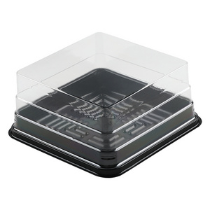 Wholesale 4 Inch Mini Cake Box PET Plastic Square Mooncake Box Small Single Muffin Dessert Cake Container with Clear Lid