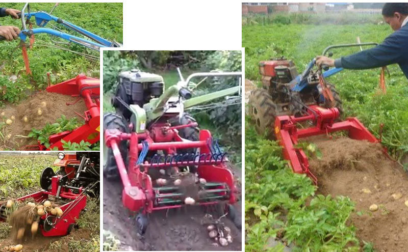 Agricultural machinery sweet potato harvest plought cassava machine digger radish harvested mini potato harvester for small farm