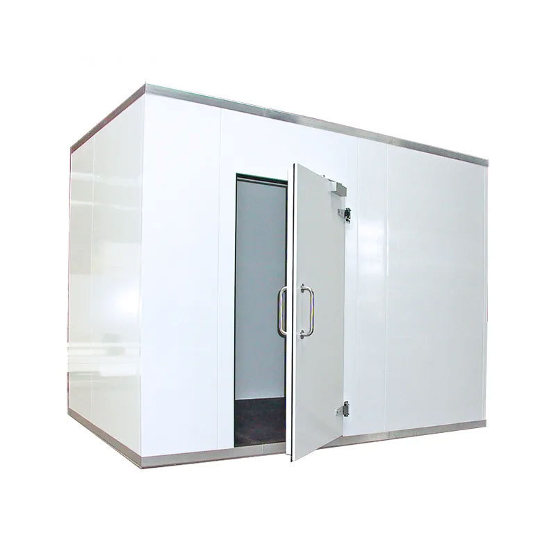 solar powered cold room for fish and meat Commercial Blast Freezer Container Provided mini Cold Storage Cool Room 50 Tons