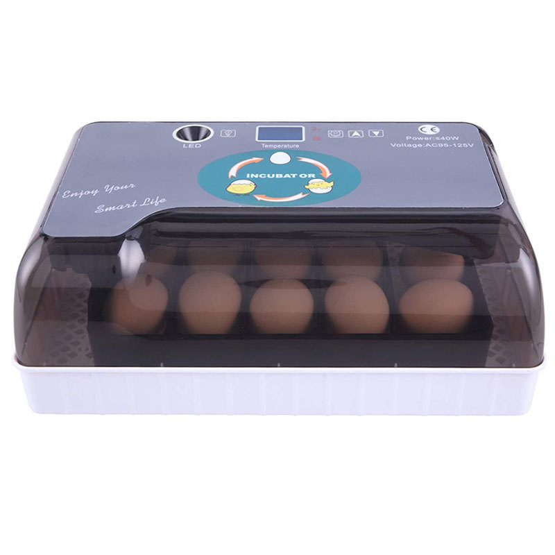 12 35 Eggs Poultry and Hatcher Machine Egg Candler Temperature Control Hatching Fully Automatic Eggs Incubator