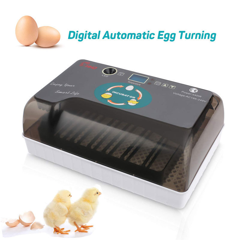 12 35 Eggs Poultry and Hatcher Machine Egg Candler Temperature Control Hatching Fully Automatic Eggs Incubator