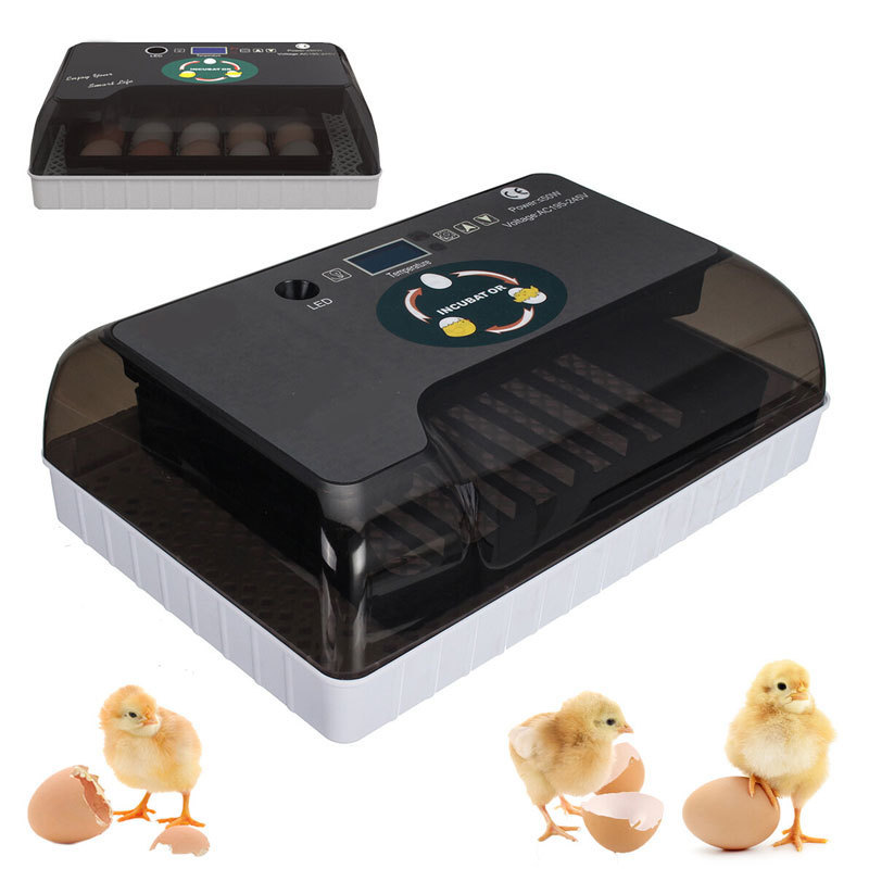 12 35 Eggs Poultry and Hatcher Machine Egg Candler Temperature Control Hatching Fully Automatic Eggs Incubator