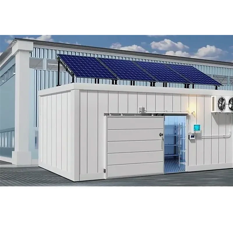 solar powered cold room for fish and meat Commercial Blast Freezer Container Provided mini Cold Storage Cool Room 50 Tons