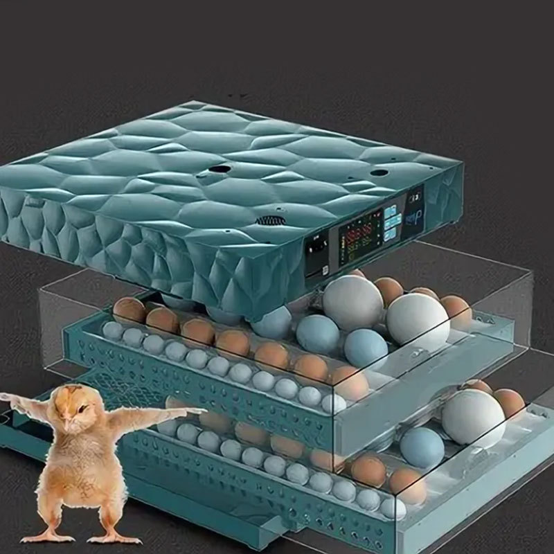 100 200 500 1000 Eggs Brooder Home Use Incubator Chick Brooder Machine Automatic Incubator And Hatcher