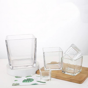 Simple Design Home Decoration Wholesale  Glass Cube Plant Flower Vases Square Clear Glass Vase