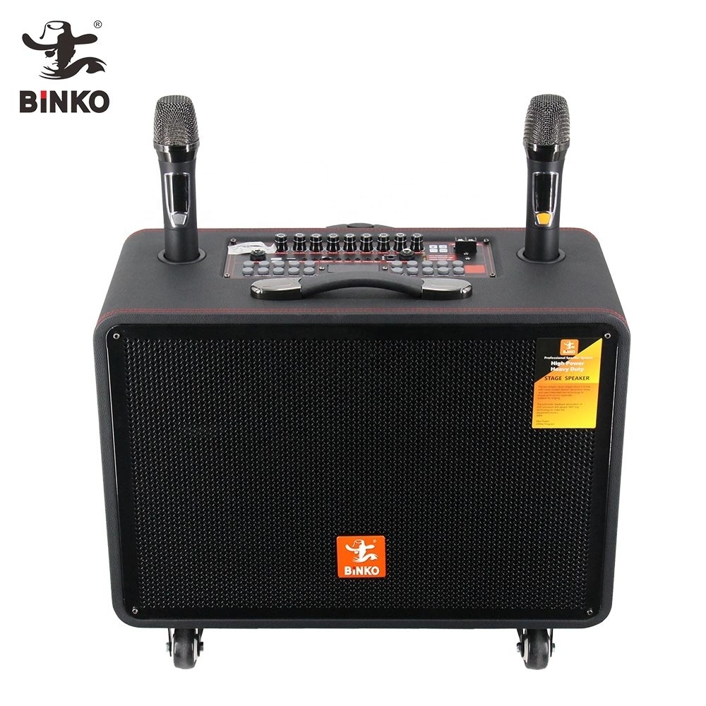 High power portable trolley speaker outdoor speaker system professional party Karaoke guitar speaker with wireless mic