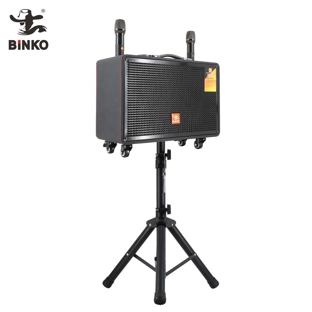 High power portable trolley speaker outdoor speaker system professional party Karaoke guitar speaker with wireless mic