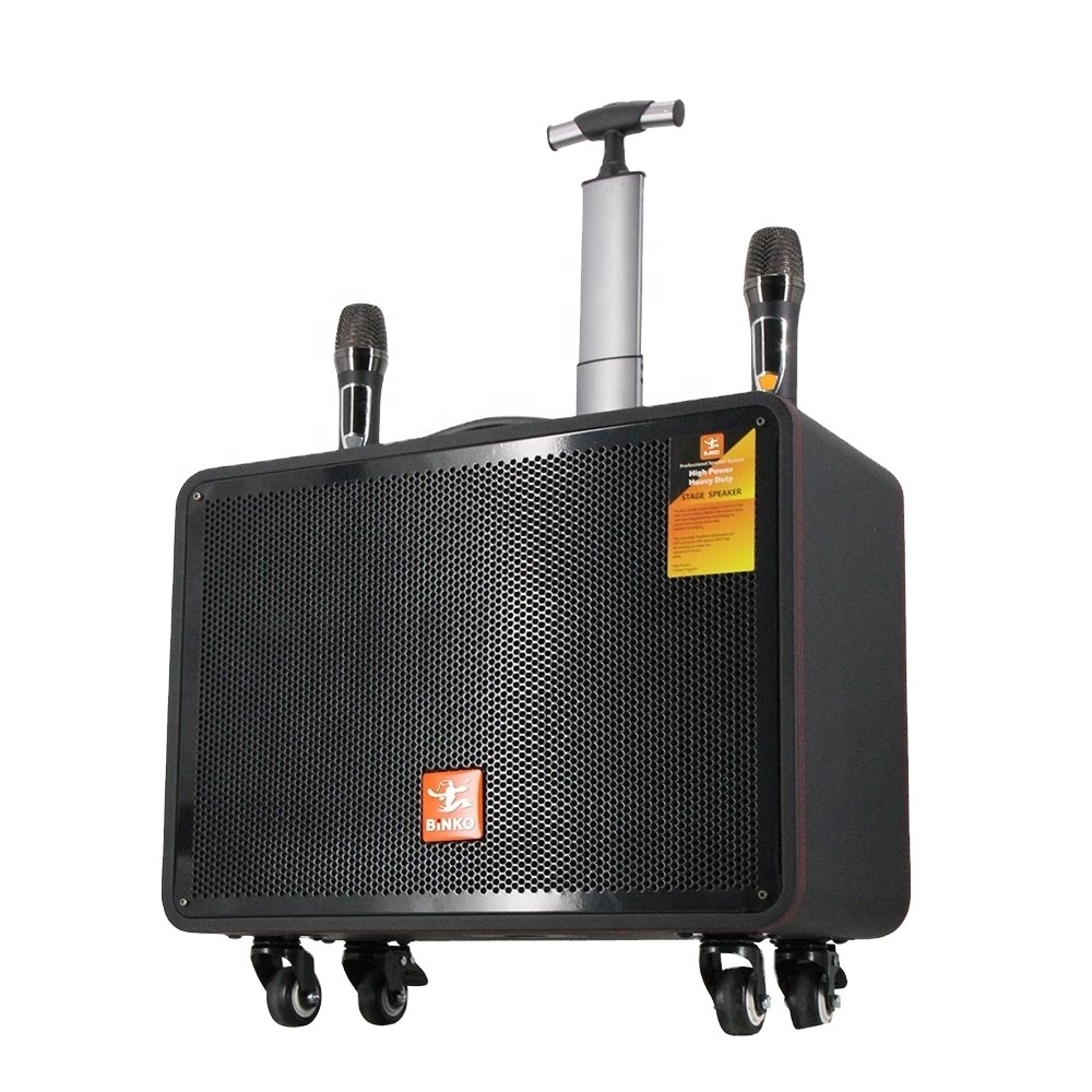 High power portable trolley speaker outdoor speaker system professional party Karaoke guitar speaker with wireless mic