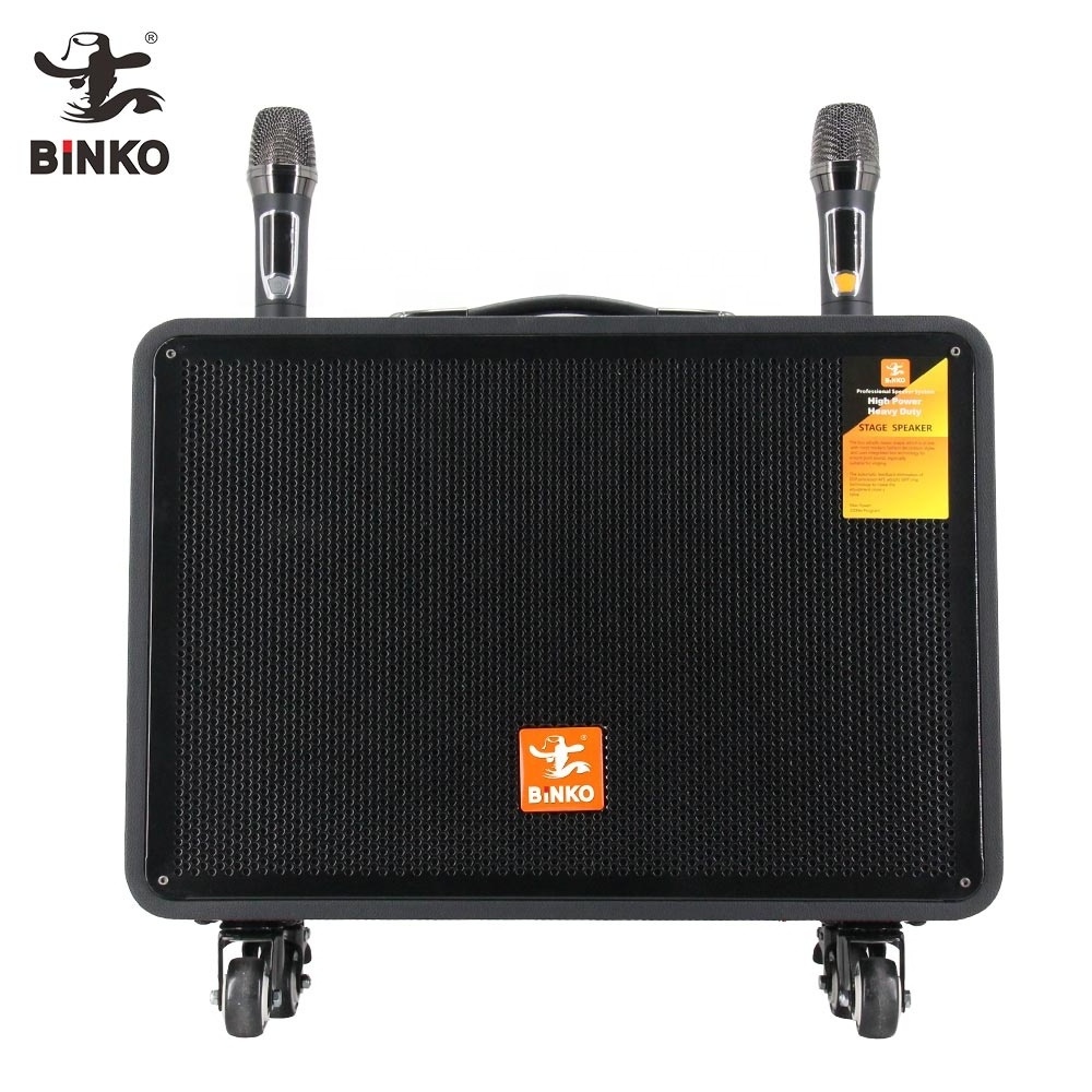 High power portable trolley speaker outdoor speaker system professional party Karaoke guitar speaker with wireless mic