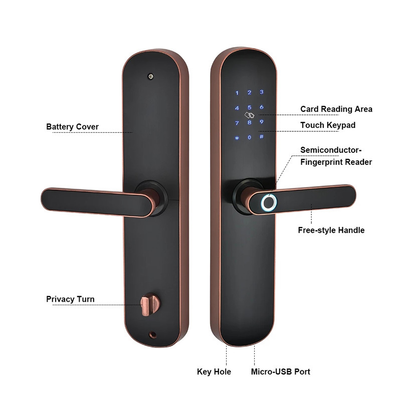 Biometric Fingerprint Lock Home Security Entrance Smart Door Lock with TTLOCK Tuya APP Remote Unlock Door Access Control System