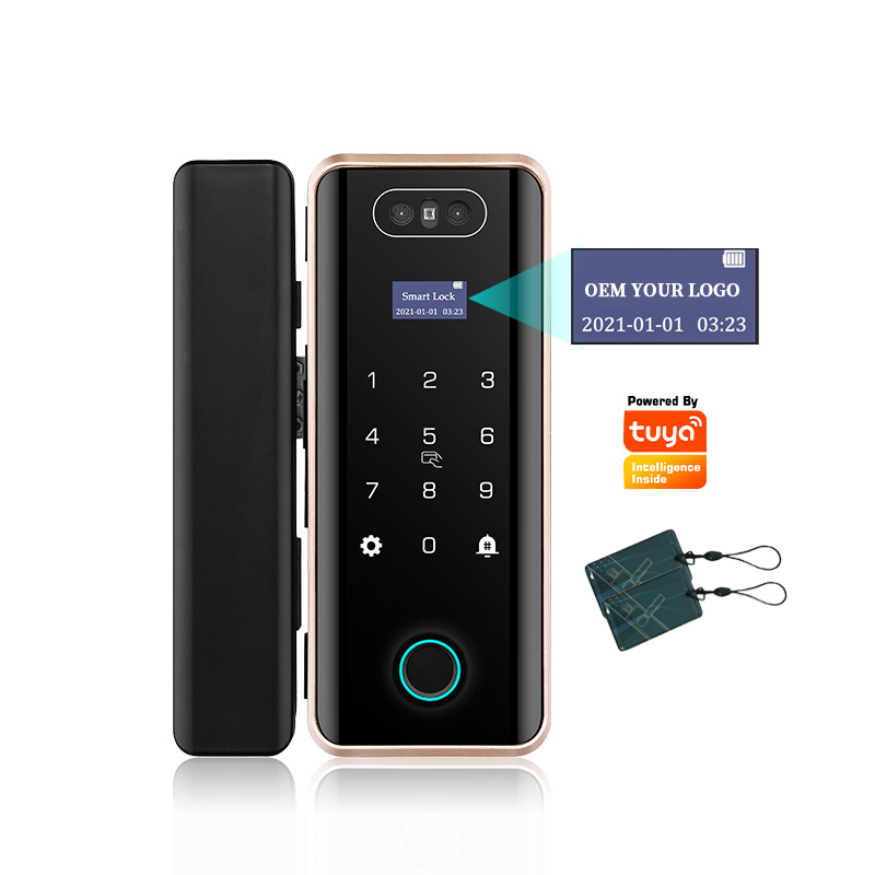 Tuya APP WiFi Remote Control Smart Face Recognition Fingerprint Password Code Lock For Frameless Frame Glass Push Sliding Door