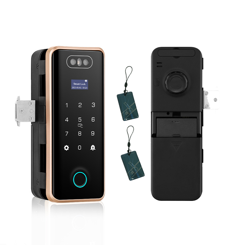 Tuya APP WiFi Remote Control Smart Face Recognition Fingerprint Password Code Lock For Frameless Frame Glass Push Sliding Door