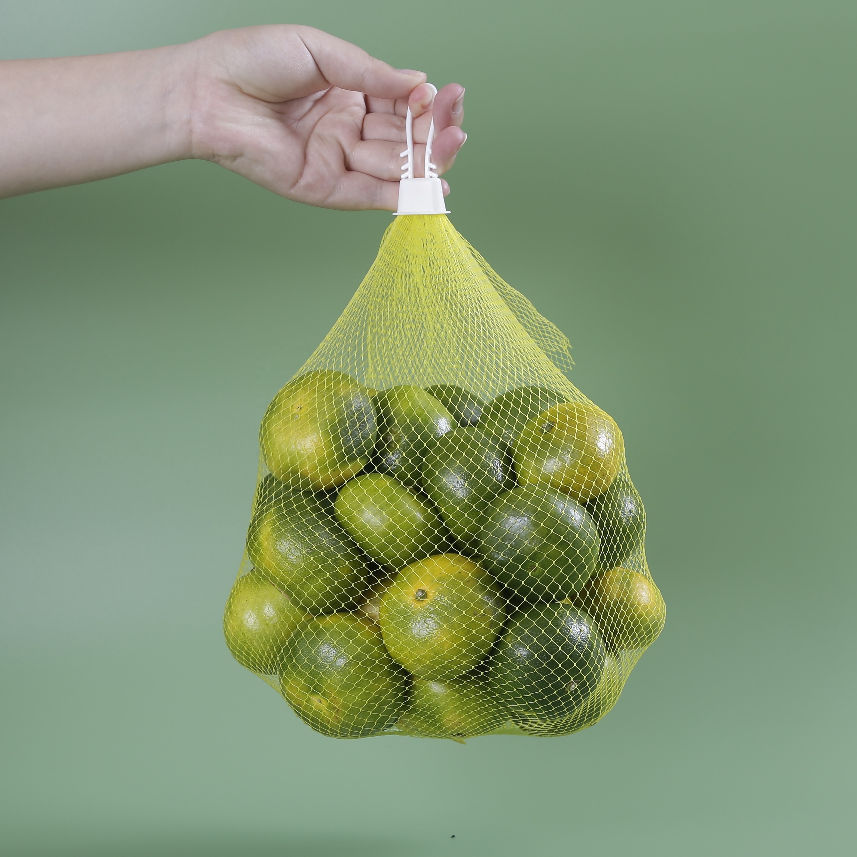 Factory Supply Lemon Biodegradable Mesh Plastic Net Bags For Fruit