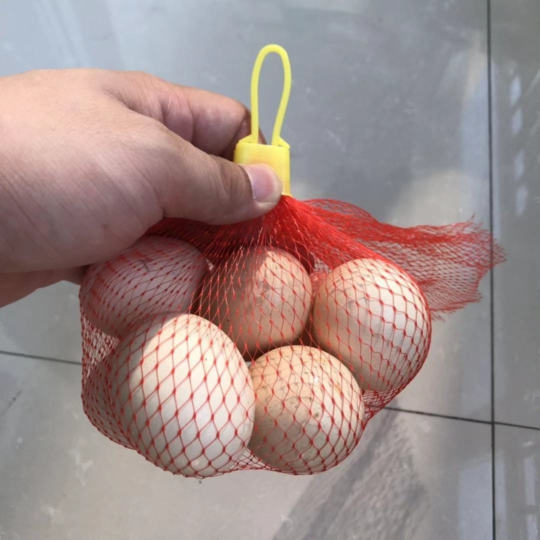 High Quality Small Pe Extruded Net Mesh Fruit Packaging Bags For Garlic Onion Potato Melons