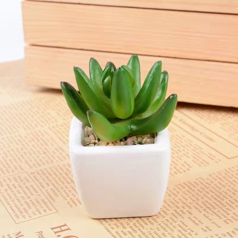 YIWAN Wholesale Bonsai Potted Small Artificial Succulent Cactus Mini Plastic Succulent Plants Bonsai Picks With White Pots