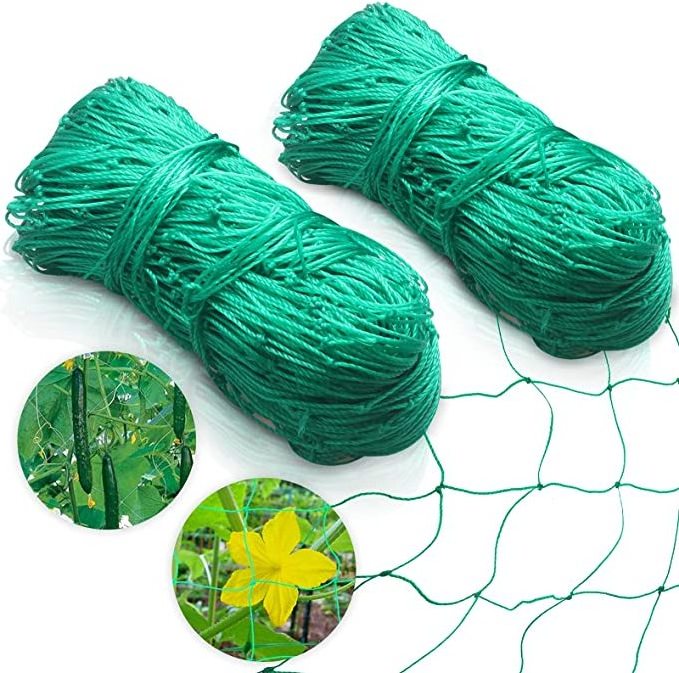 Tomato Climbing Garden Plants Climbing Vegetable Climbing Plant Support Trellis Net Support Plant Trellis Netting