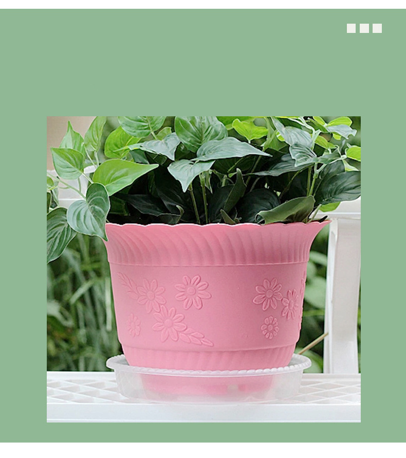 Clear Round Plastic Saucer Seeding Plant Saucer Transparent Flower Planter Pot Tray