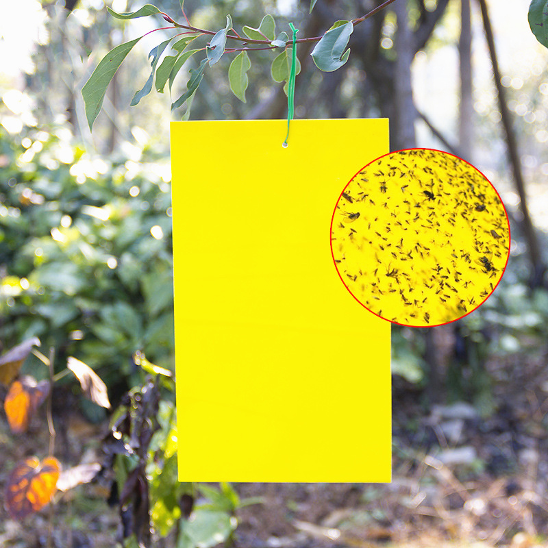 Hot High Quality Fly Control Yellow Glue Board Agricultural Yellow Sticky Fly Trap Garden Insect Traps Sticky