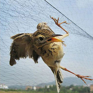 Garden Mesh Pest Control Tool Bird Catch Multifunctional Protective Net Plastic Nylon Anti Bird Net