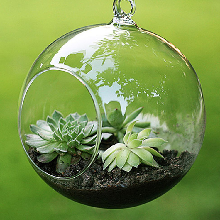 Cheap wholesale beautiful hollow glass balls custom high quality glass hanging terrarium with hole for home decoration