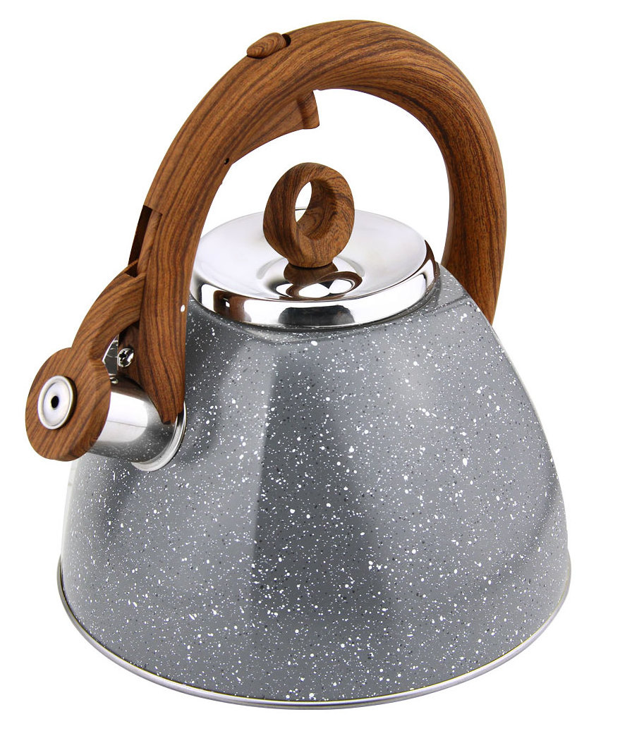 HausRoland Square Stainless Steel Whistle Kettle Induction Cooker Gas Teapot