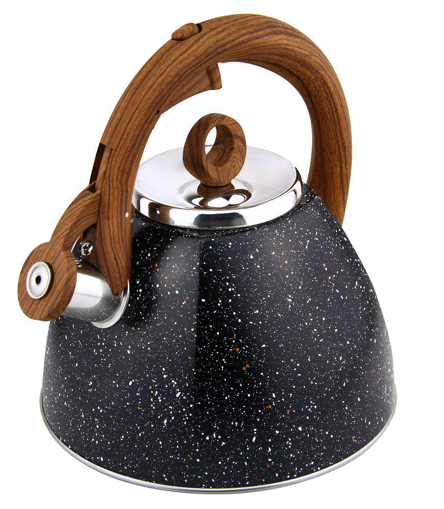 HausRoland Square Stainless Steel Whistle Kettle Induction Cooker Gas Teapot