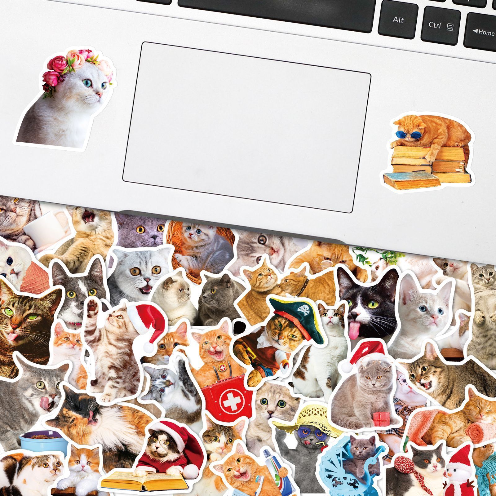 HOYO 50 Pcs/Pack Cat Pet Stickers, Persian Birman Ragdoll Himalayan Toyger Scottish Fold Norwegian Forest Cat Stickers Decals