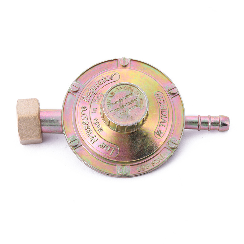 Adjustable Propane Gas Regulator Cylinder Regulator Low Pressure Regulator Valve