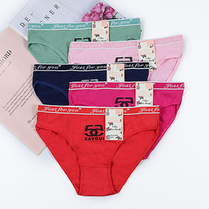 2021 Trends Best Price Cotton Ladies Briefs Women's Underwear Boxers Briefs Panties