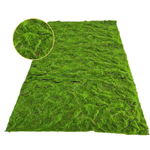 Simulation Moss Lawn Brown Silk Moss Turf Background Plant Wall Decoration Green Potted Plantwall Grass Decoration Artificial