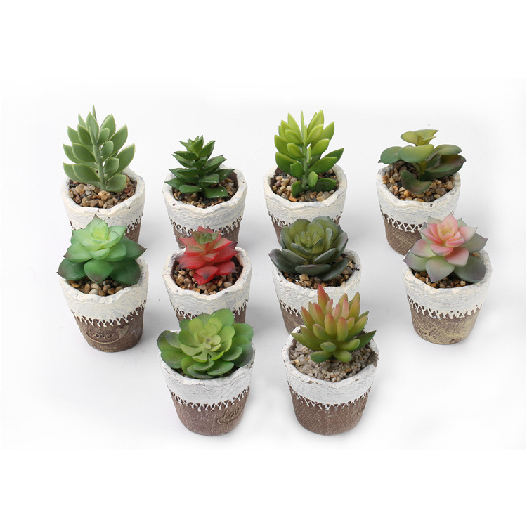 Gardening Supplies Bonsai Potted Plants Customized 6 Colors Mixed 9 Cm High Pvc Material Mini Artificial Succulents