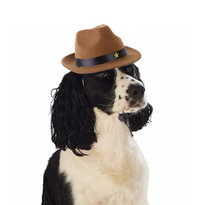 Birthday Party Decoration Pet Dog Cat Cowboy Hat Puppy Adjustable Hat Suitable for Small Dogs and Cats Pets