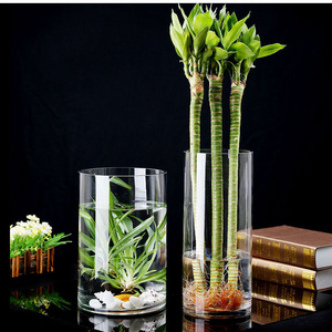 Simple thickening transparent glass cylindrical straight cylinder vase landing tall vase decorative ornaments