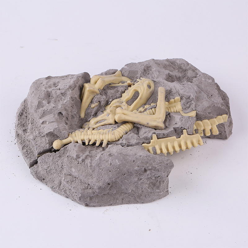 Popular Educational Toys Children's DIY Science Experiment Toy set Dinosaur Archaeological Plaster Fossils