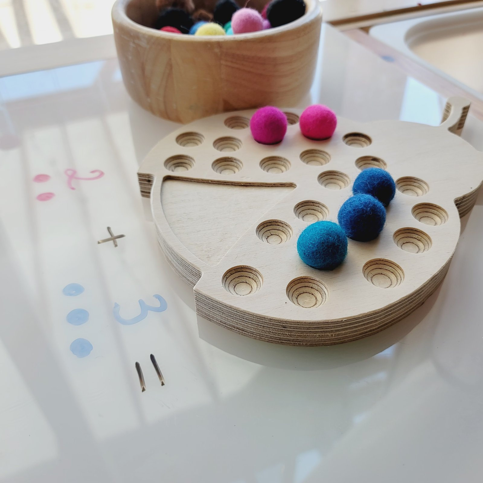 Customized wholesale Wooden Shape Sorter , Ladybug, Tulip, Fish, Montessori frame, ten frame Counting Board Math