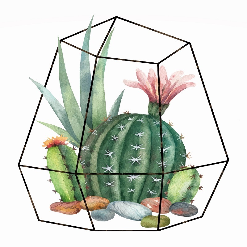 Yiyao Cactus toilet sticker