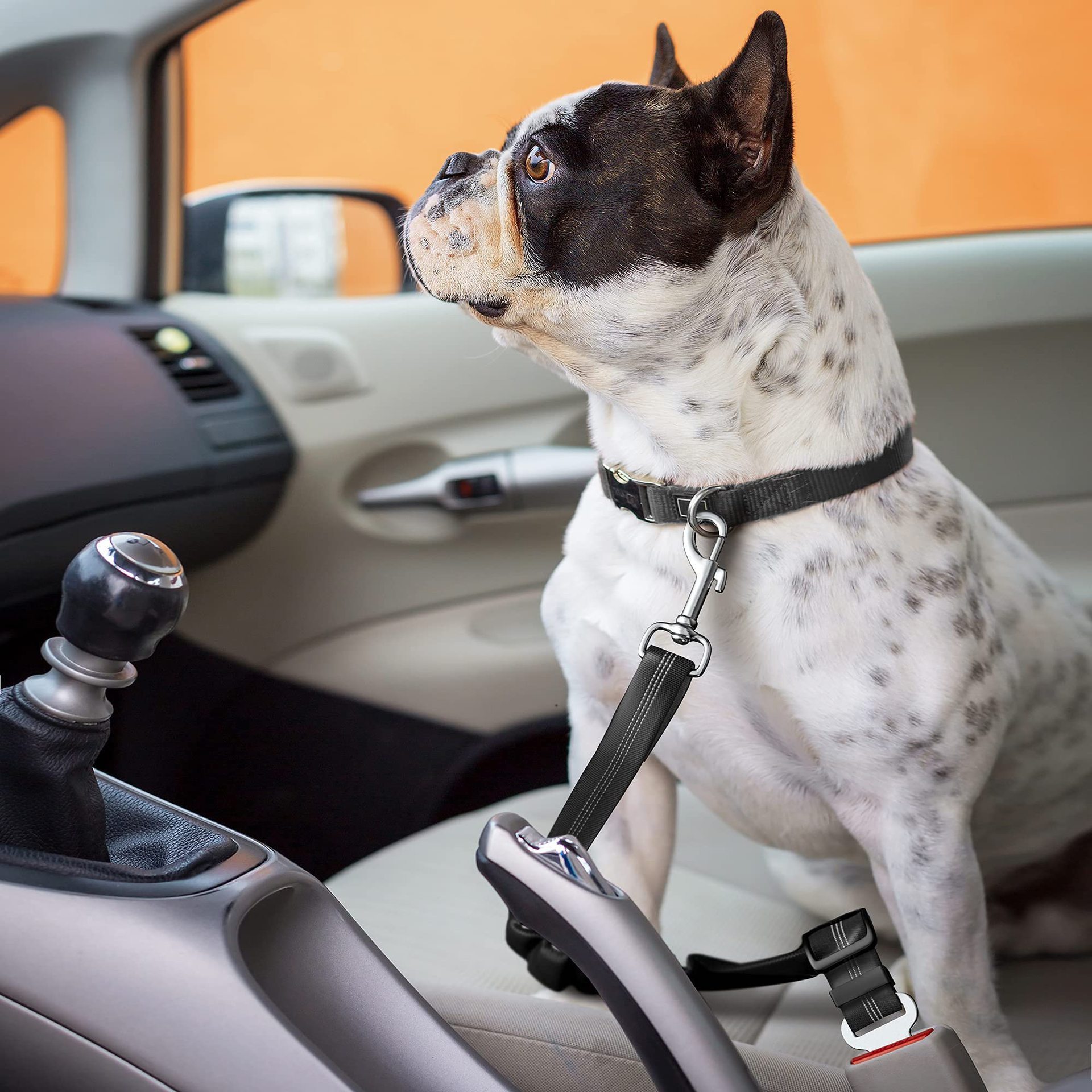 Pet Dog Car Seat Belt Pet Car Accessories Retractable Dog Buckle with Portable Bowl