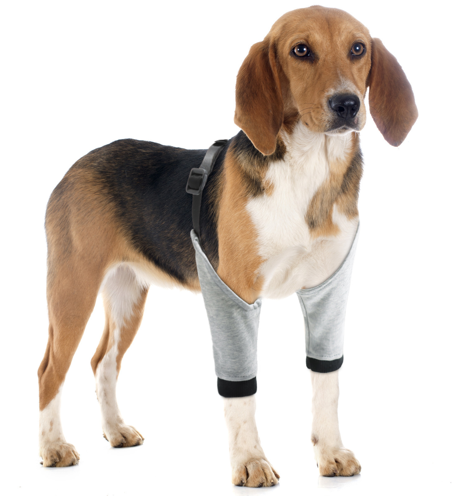 Protective Gear for Pet Leg Injury Dog Kneepad Disabled Dog Leg Auxiliary Belt Postoperative Protective Sleeve